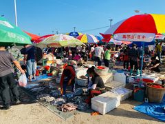 -青岛沙子口国家中心渔港