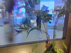 -川成元·麻辣香锅(凯德MALL西直门店)