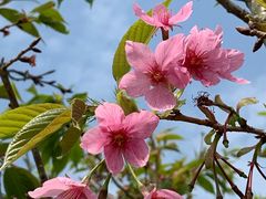 -福建鲤鱼洲酒店