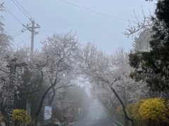 -兰山公园