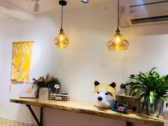 -白日梦奶茶