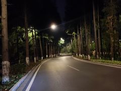 -东湖落雁景区