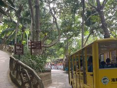 -海南分界洲岛旅游区