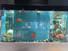 -瑞伯克牛排自助餐厅天一广场店