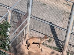 -青藏高原野生动物园