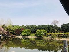 -嘉定紫藤园