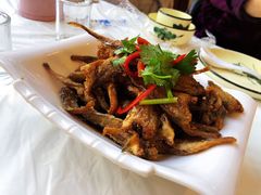 -渔民船说·北塘海鲜·天津菜·海肠捞饭(北塘古镇店)