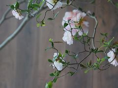 -Beans Solo豆号咖啡(百家湖花园店)