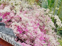 -深圳国际园林花卉博览园