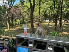 -黔灵山公园