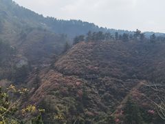 -木兰云雾山