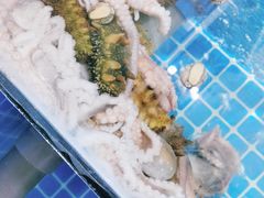 -宾朋海鲜特色美食餐厅·纯手工鲅鱼水饺(兴海路店)