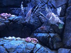 -成都浩海立方海洋公园