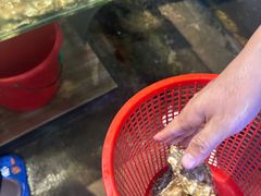 -庆余生平价生猛海鲜(海棠湾林旺夜市店)