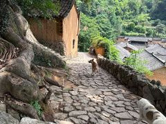 -杨家堂村