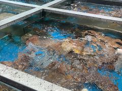 -盒马鲜生(189购物中心店)