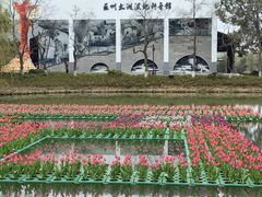 -苏州太湖国家湿地公园
