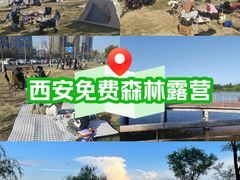 -洨河生态公园