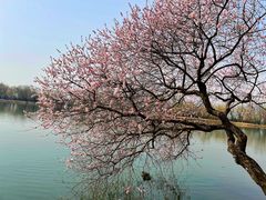 -颐和园