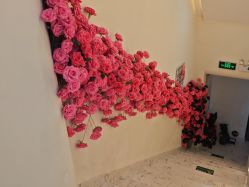 -海涛医疗美容·面部抗衰·注射美鼻