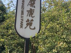 -北京麋鹿生态实验中心