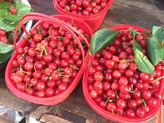 -樱桃山旅游景区