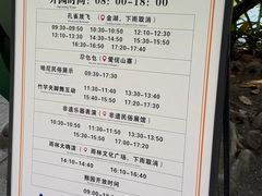 -西双版纳原始森林公园