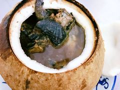原只椰子炖竹丝鸡-達揚原味燉品(文明路店)