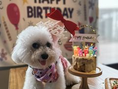 -百好乐宠物友好餐厅(朝外大街店)