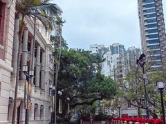 -香港大学