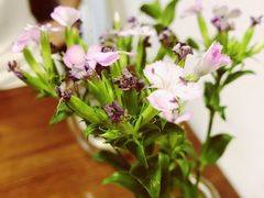 景观位-AFS Cafe & Canteen(闽江二路店)