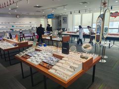 -亚美视光眼镜店(重庆路活力城店)