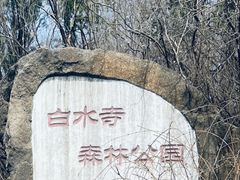 -白水寺森林公园
