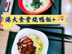 -香港大学