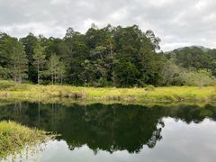 -海南热带雨林国家公园吊罗山景区