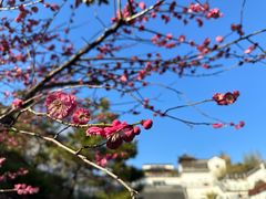 -江宁织造博物馆