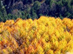 -硗碛藏寨·神木垒景区