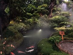 -Chom Cafe and Restaurant