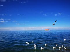 -青海湖国家重点风景名胜区