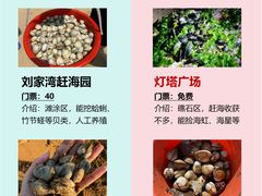 -巧克力渔家.小船海鲜胶东菜(万平口店)