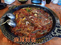 -三道苗苗鱼·美蛙黄辣丁(八里店)