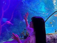 -沈阳海洋探索中心