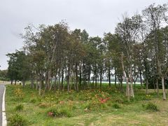 -金银湖国家城市湿地公园