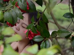 -南山植物园
