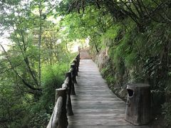 -塔云山
