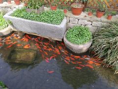 -前童古镇