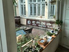 android_upload_pic-海边的猫和咖啡馆