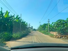 -硇洲岛旅游区
