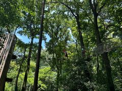 -WeLope紫金山探险公园