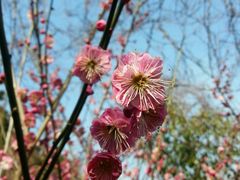 -太子山公园(园东路)